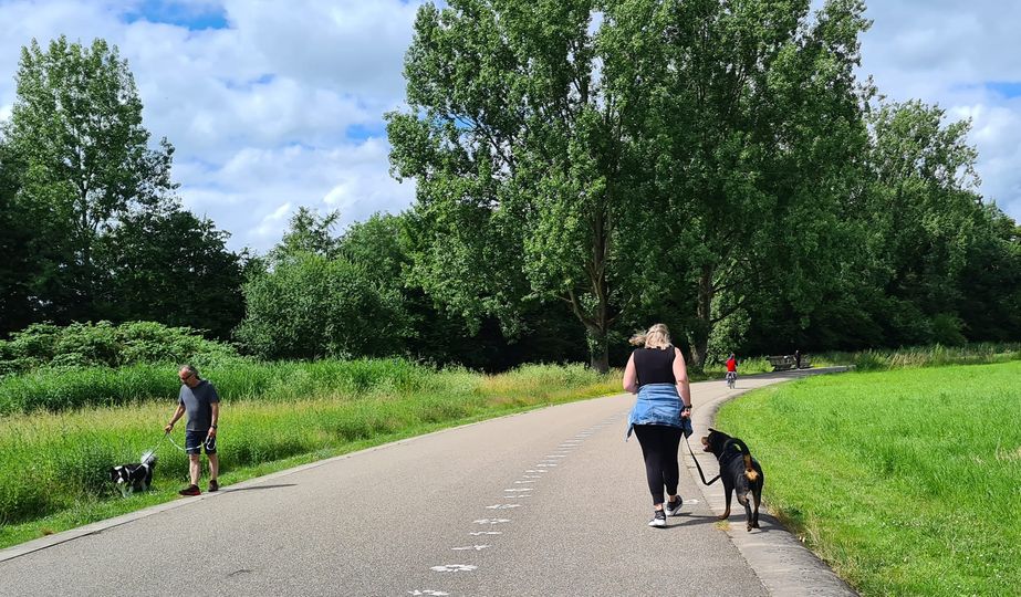 Hond training Utrecht