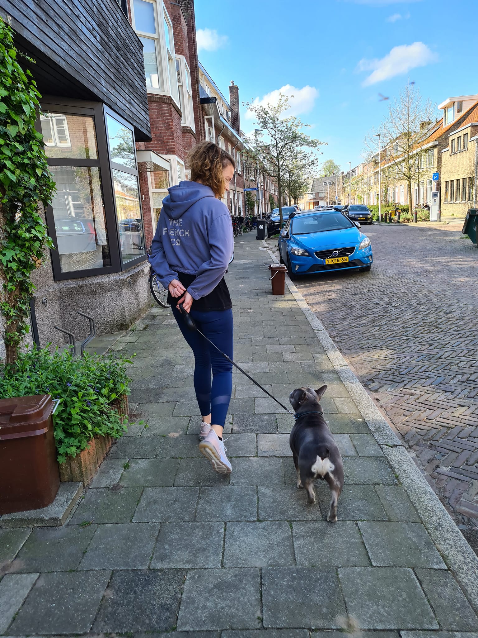 Honden gedrag begeleiding Utrecht