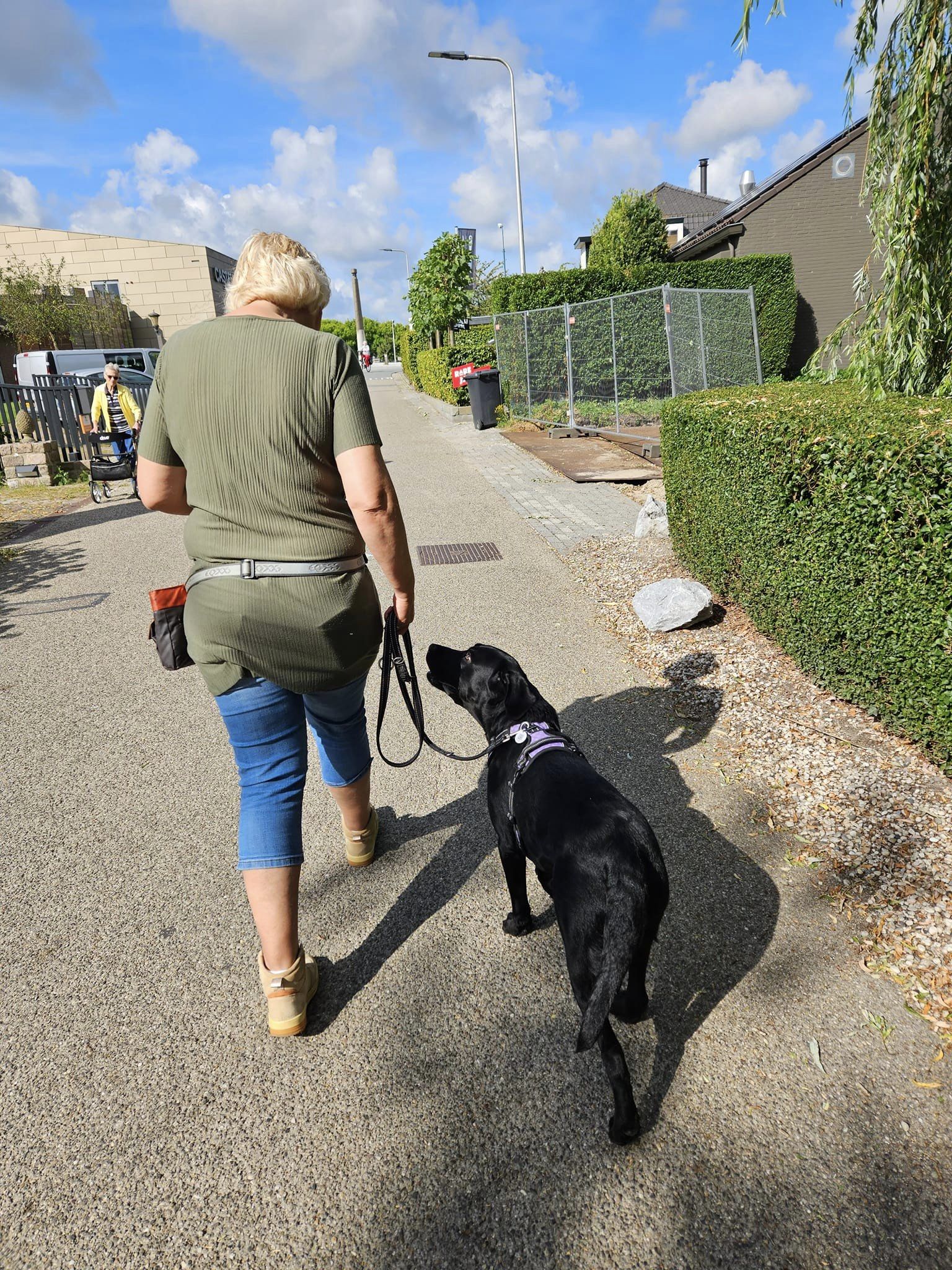 Honden gedragsbegeleiding Utrecht