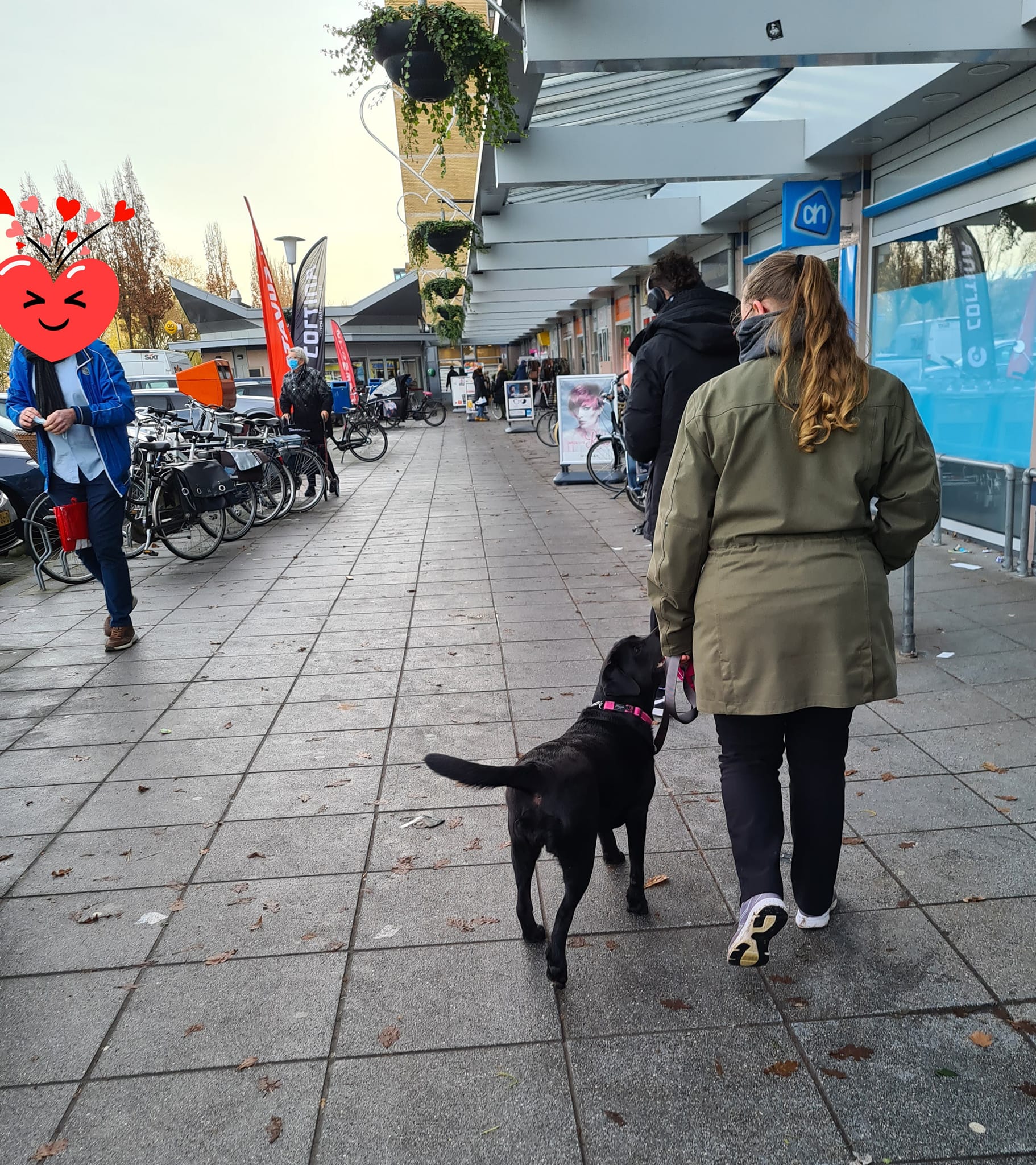 Hondenschool Gedragstherapie Utrecht