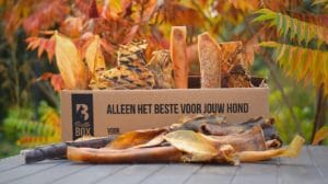 10 Gezonde beloningen voor tijdens het trainen van je hond.